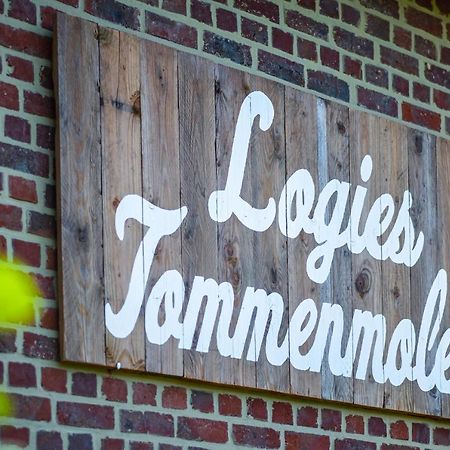 Апартаменти Logies Tommenmolen Ґрімберґен Екстер'єр фото